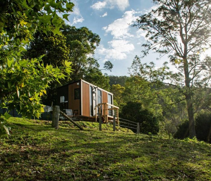 gmw6nlvvg5jpkszoyeyl1729473872554